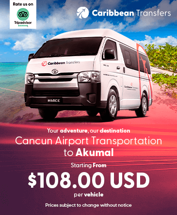 Favorite Cancun to Akumal Transportation Company