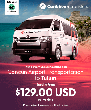 The best transportation company from Cancun to Tulum